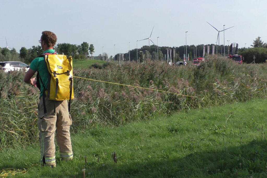 Grote zoekactie naar te water geraakte hond