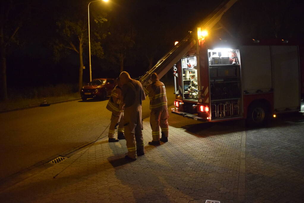 Steenuil vast in schoorsteen