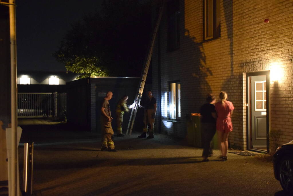 Steenuil vast in schoorsteen