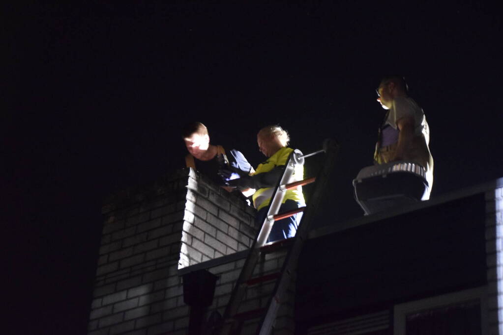 Steenuil vast in schoorsteen