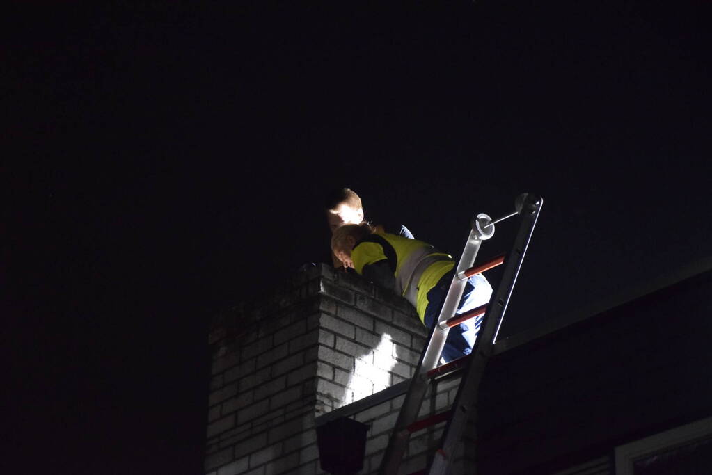 Steenuil vast in schoorsteen