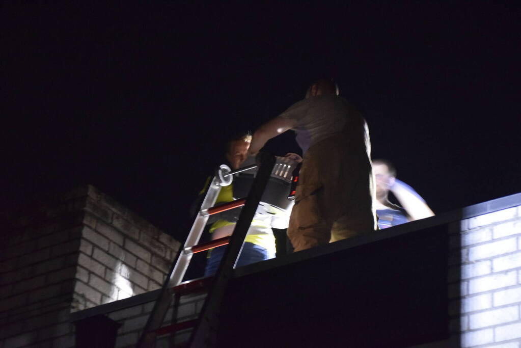 Steenuil vast in schoorsteen