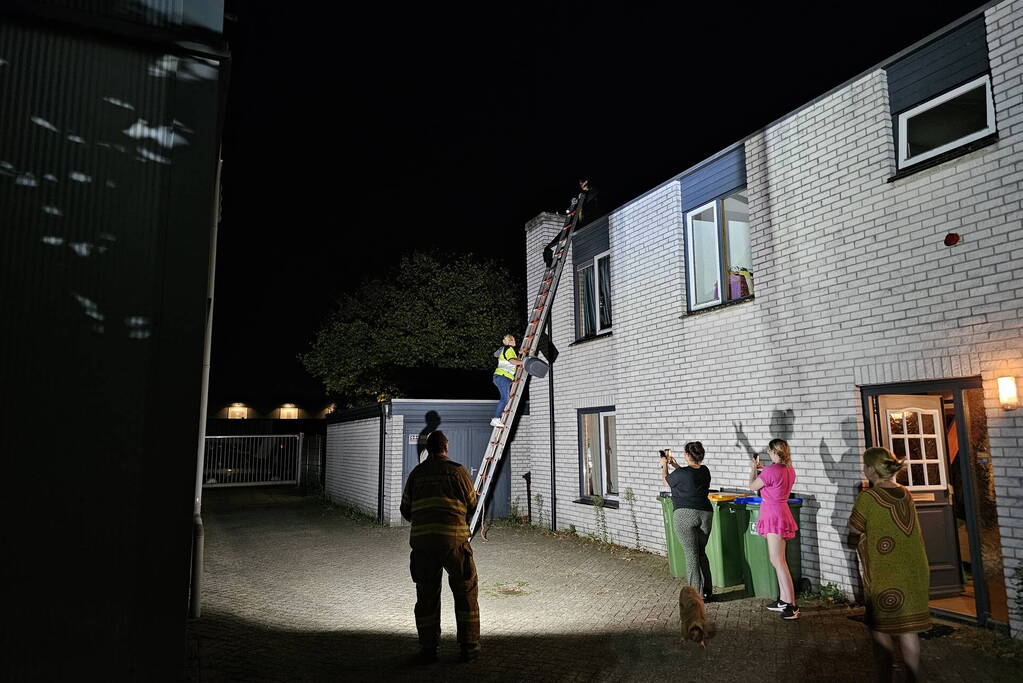 Steenuil vast in schoorsteen