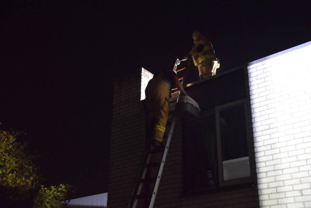 Steenuil vast in schoorsteen