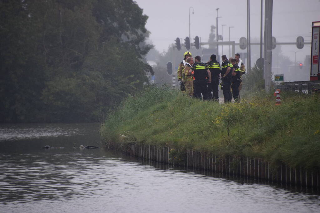 Overleden persoon aangetroffen in water