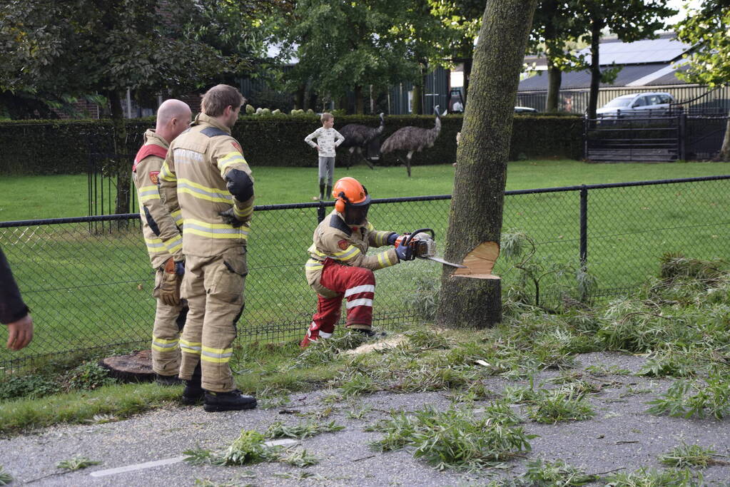 Brandweer voorkomt vallende boom