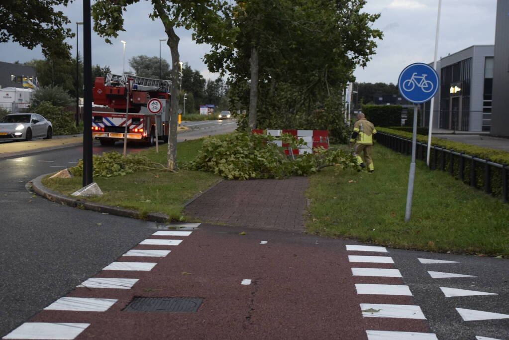 Boom omgekapt wegens stormschade