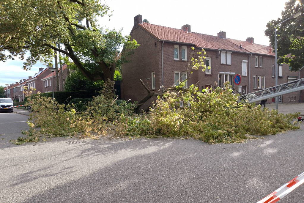 Grote tak van boom afgebroken door harde wind