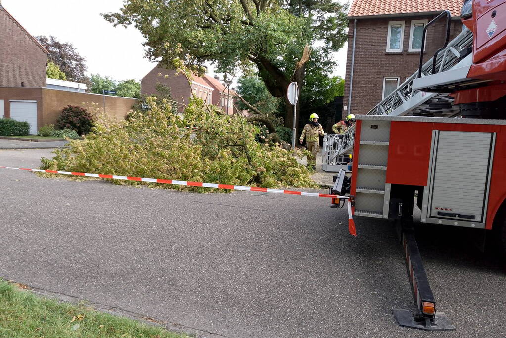 Grote tak van boom afgebroken door harde wind