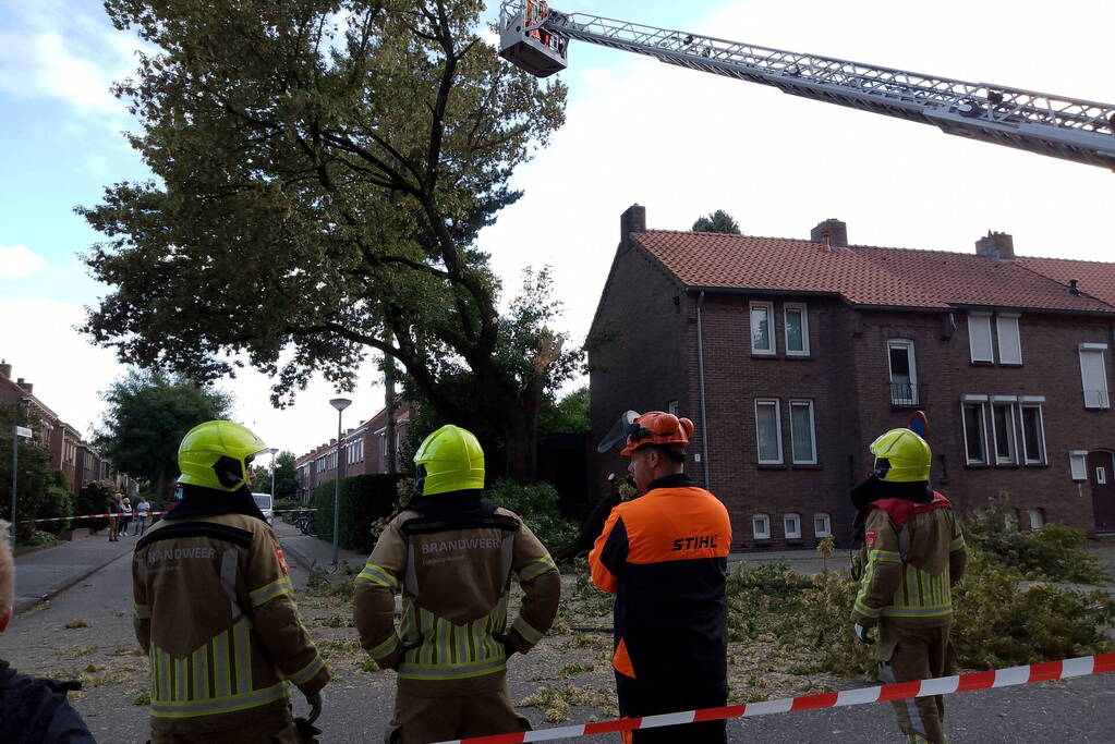Grote tak van boom afgebroken door harde wind