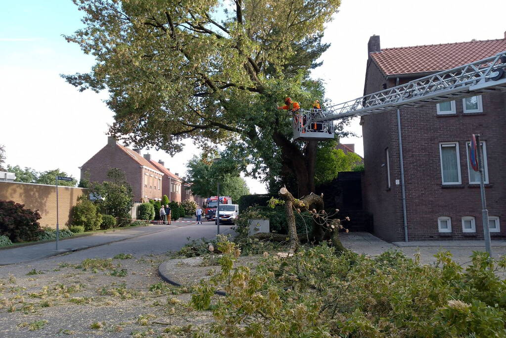Grote tak van boom afgebroken door harde wind