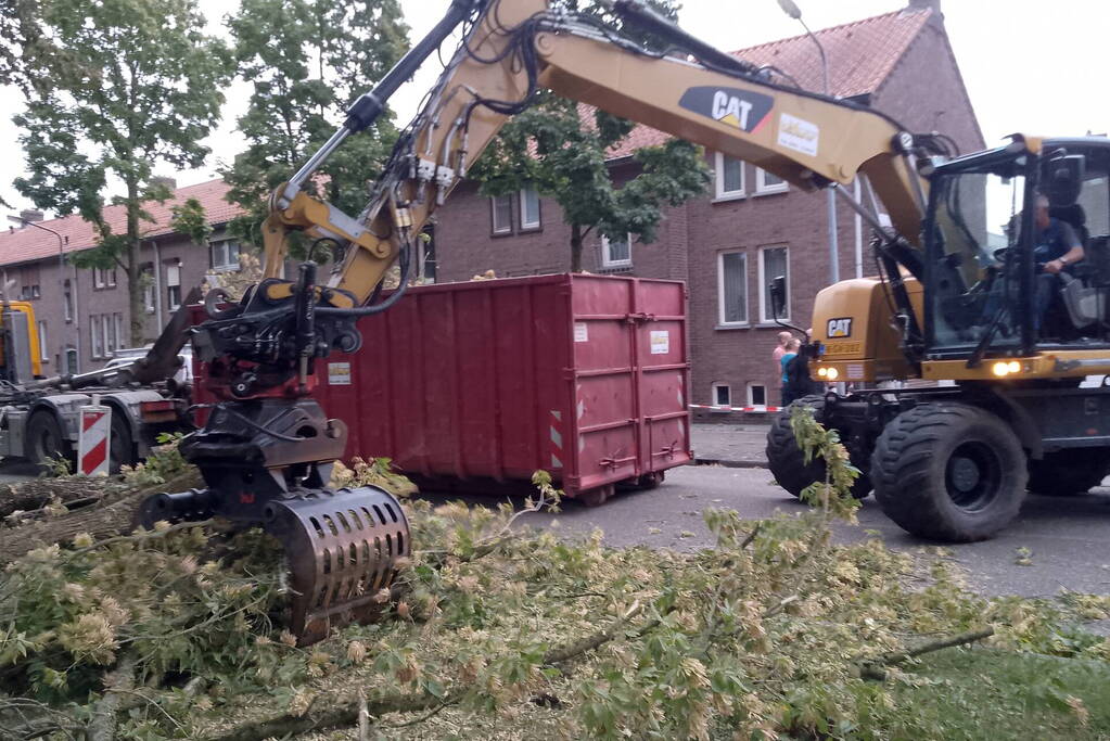 Grote tak van boom afgebroken door harde wind