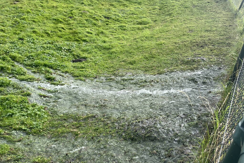 Deel van dijk weggezakt door lekkage