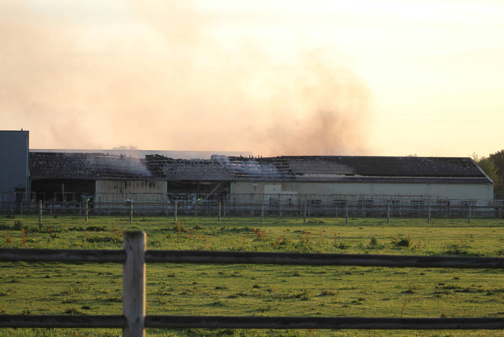 Grote brand in loods met droogbloemen