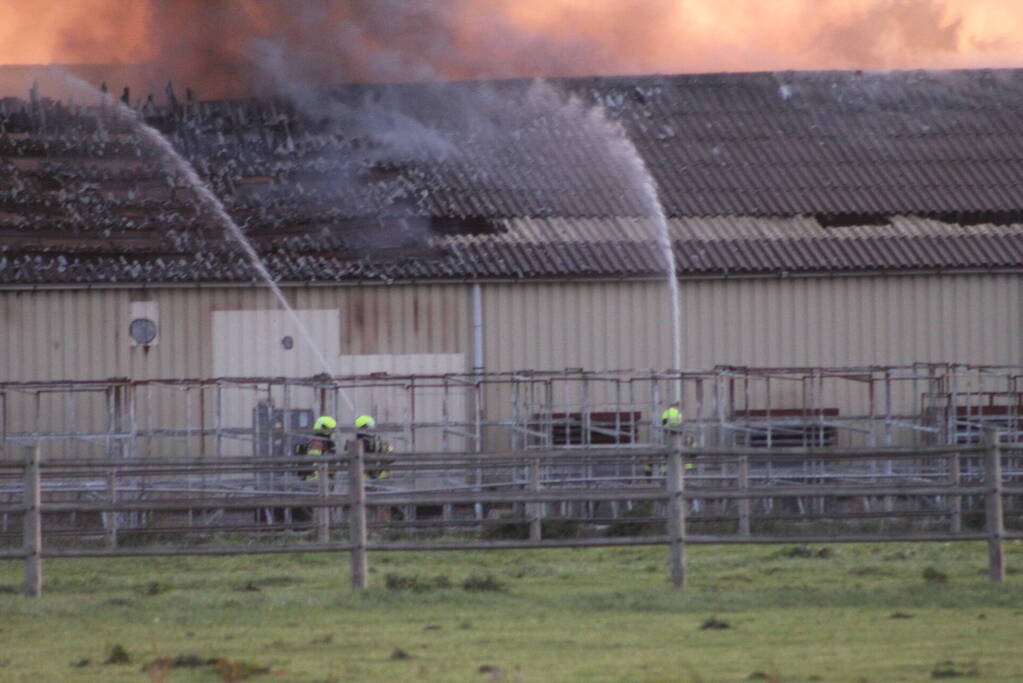 Grote brand in loods met droogbloemen