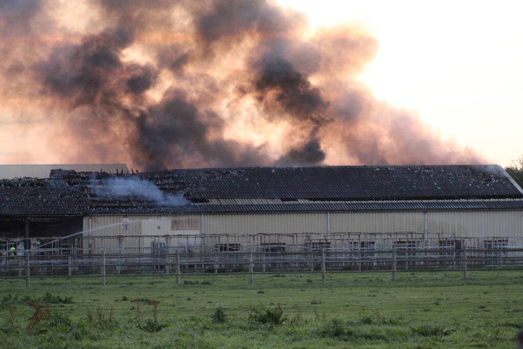 Grote brand in loods met droogbloemen