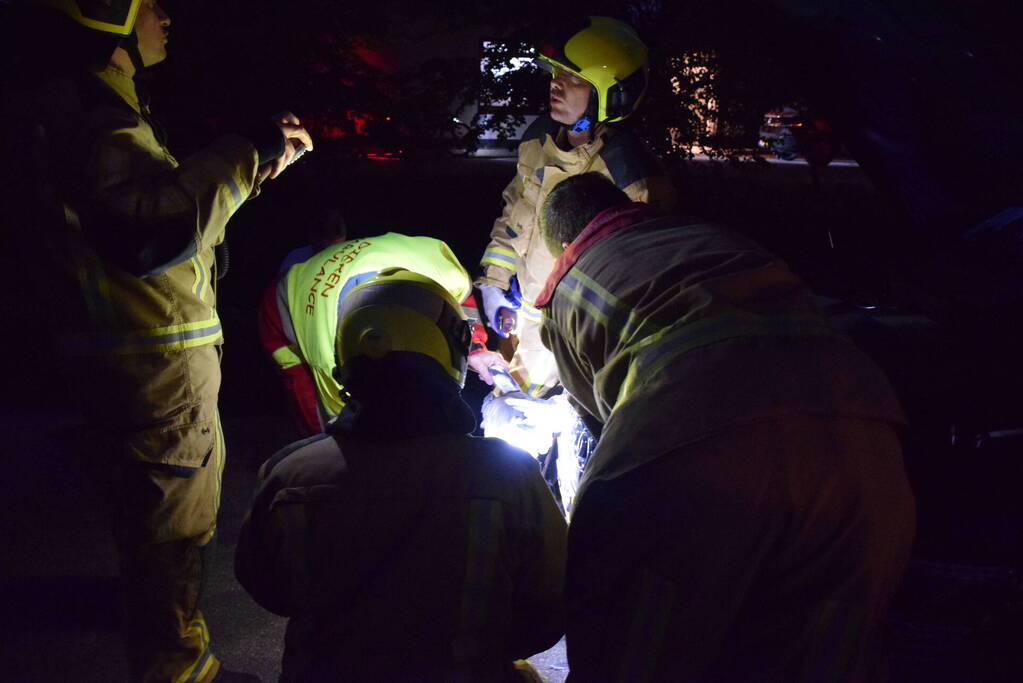 Reiger uit grill van auto bevrijdt