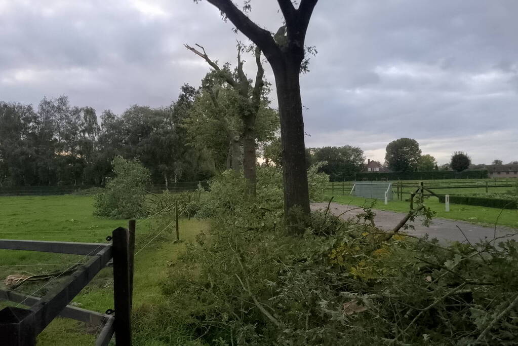 Woning zwaar beschadigd door rondvliegende takken