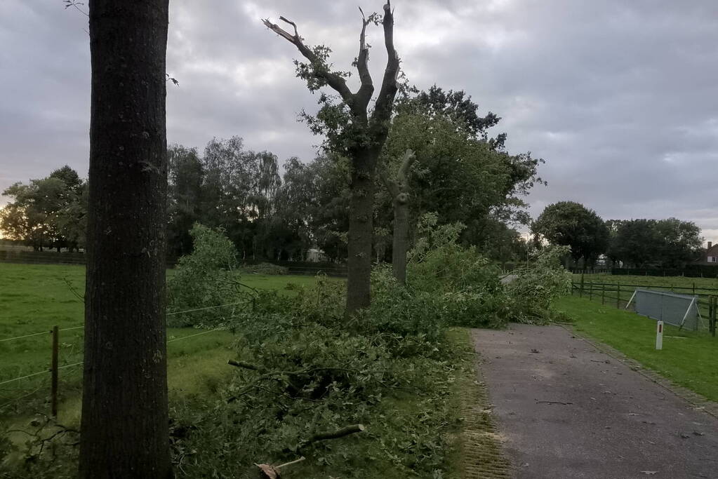 Woning zwaar beschadigd door rondvliegende takken
