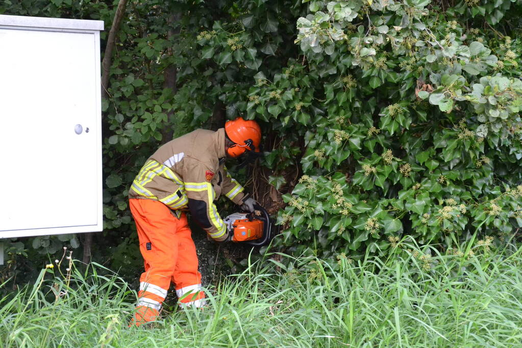 Gevaarlijk hangende boom verwijderd