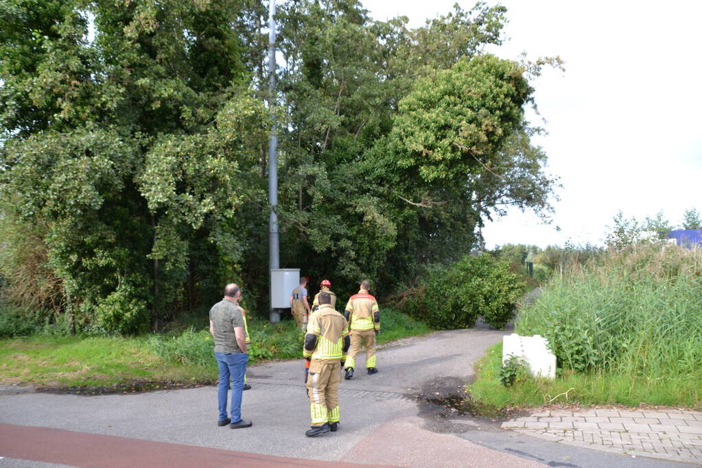 Gevaarlijk hangende boom verwijderd