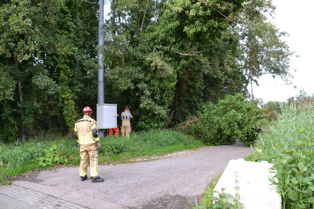 Gevaarlijk hangende boom verwijderd