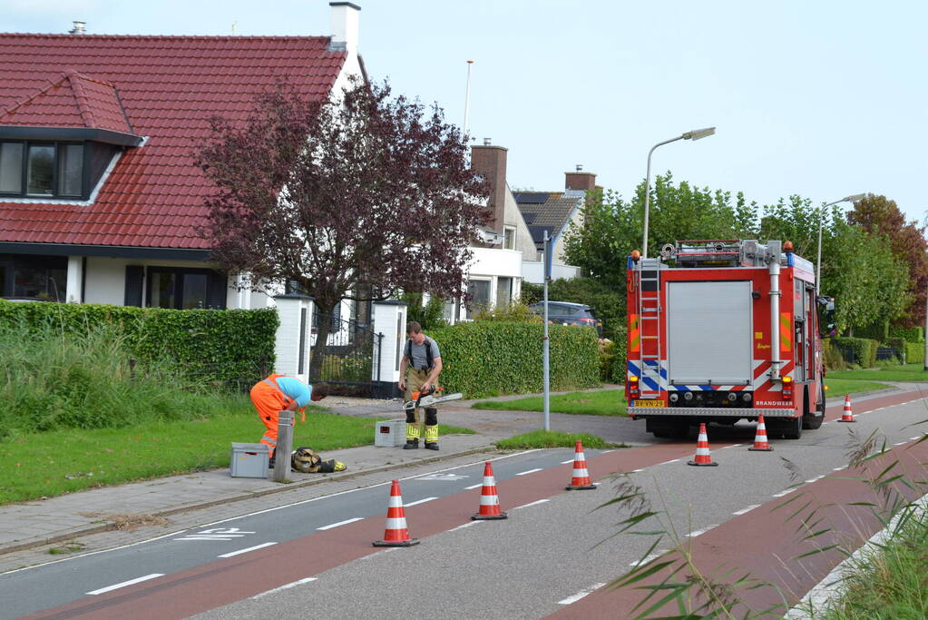 Gevaarlijk hangende boom verwijderd