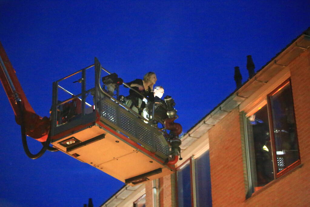 Kat vast op dak flat