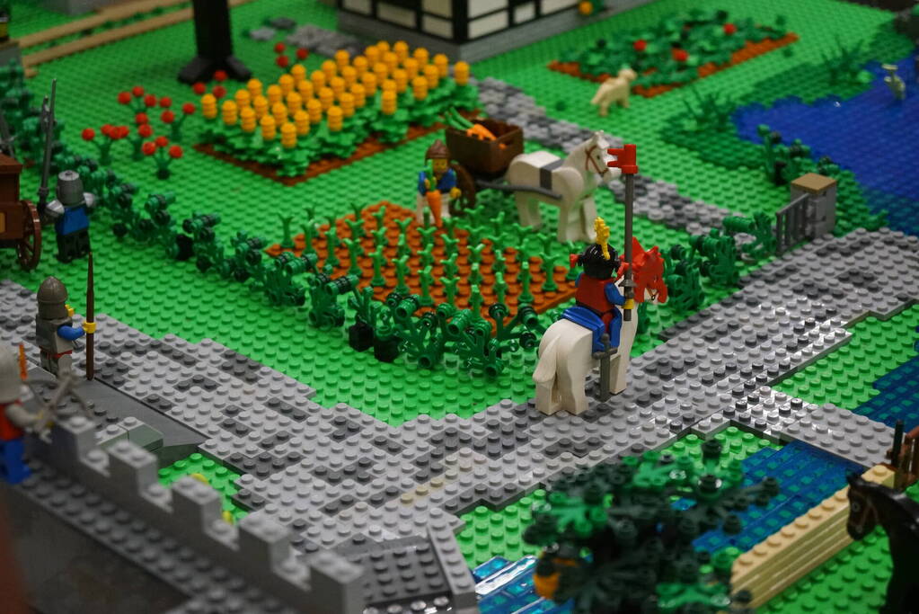 LEGO-liefhebbers bewonderen tentoongestelde creaties