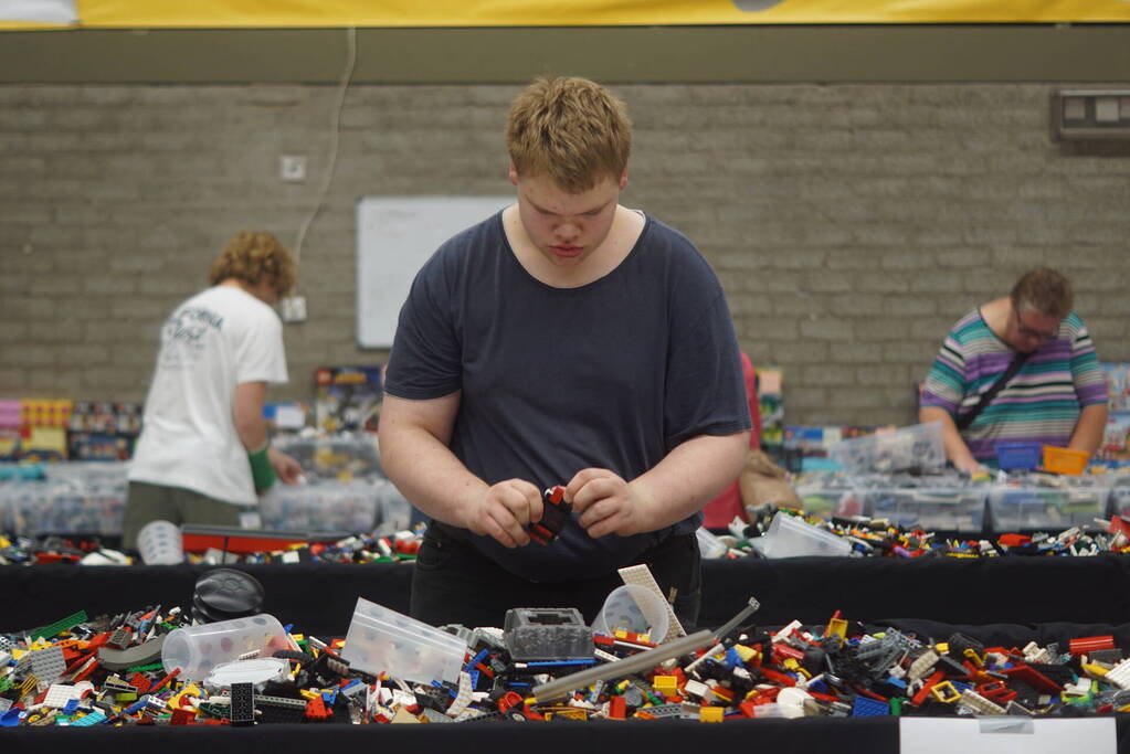 LEGO-liefhebbers bewonderen tentoongestelde creaties