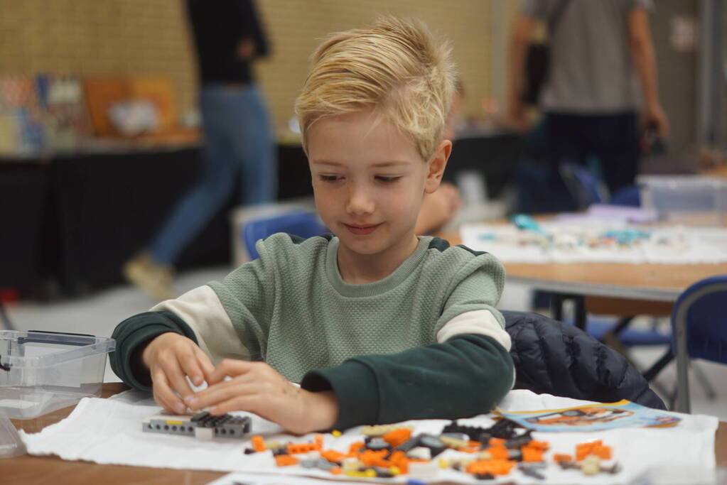 LEGO-liefhebbers bewonderen tentoongestelde creaties