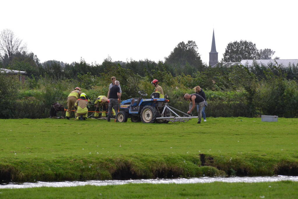 Brandweer ingezet voor te water geraakt paard