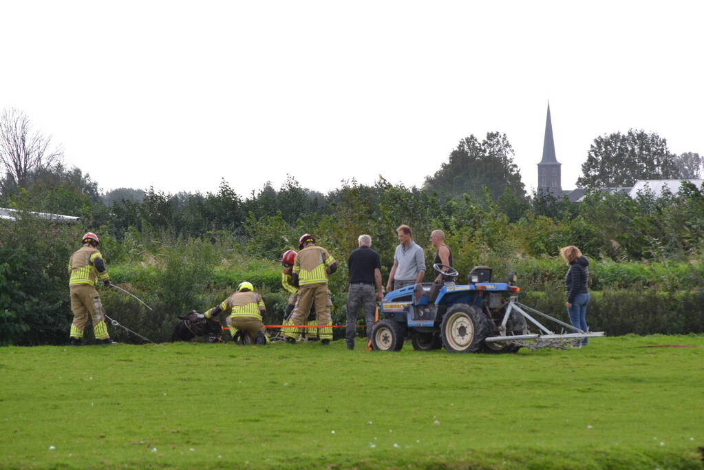 Brandweer ingezet voor te water geraakt paard