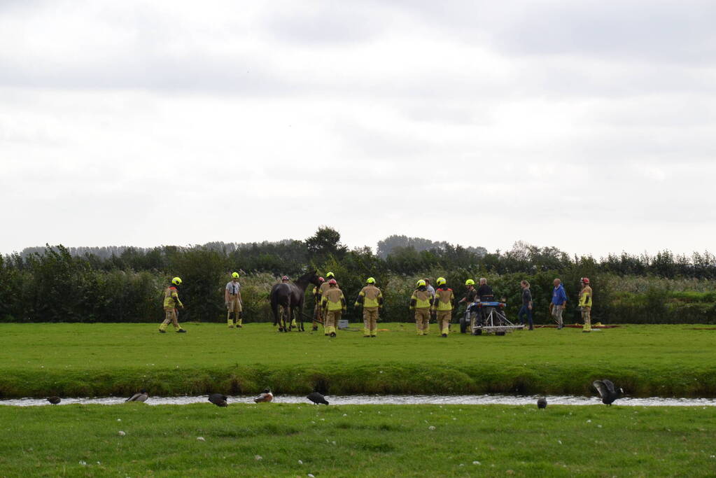 Brandweer ingezet voor te water geraakt paard