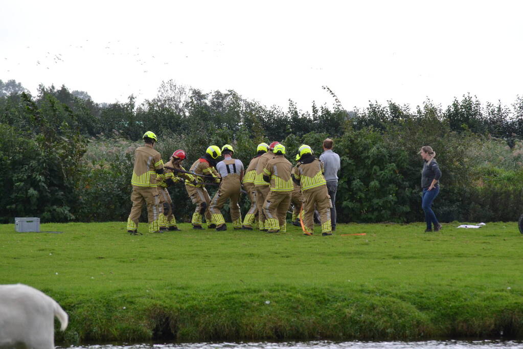 Brandweer ingezet voor te water geraakt paard