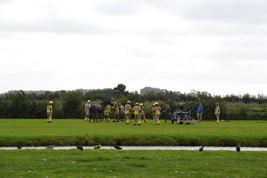 Brandweer ingezet voor te water geraakt paard