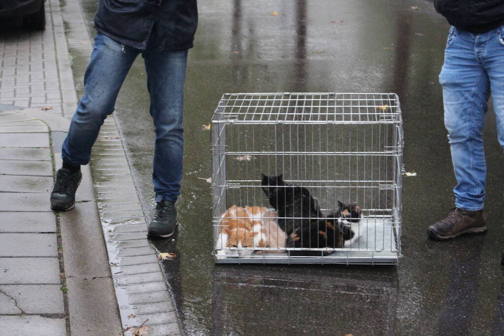 Wooncomplex voor ouderen ontruimd vanwege brand