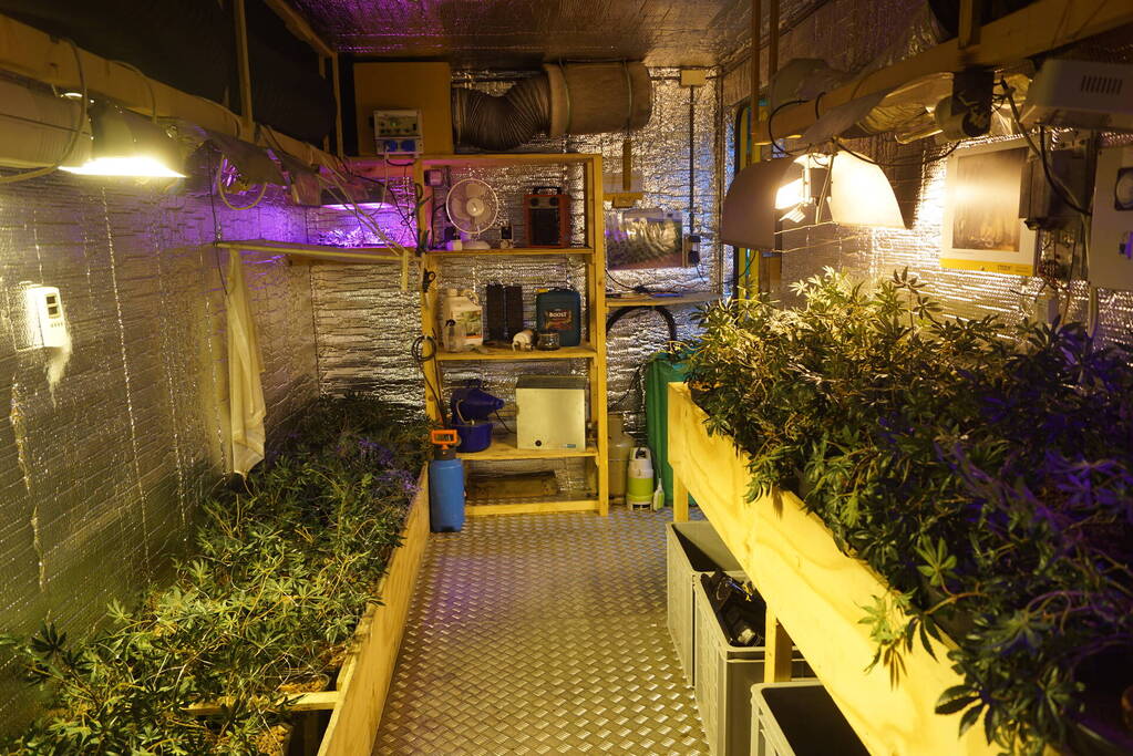 Levensechte hennepkwekerij in centrum