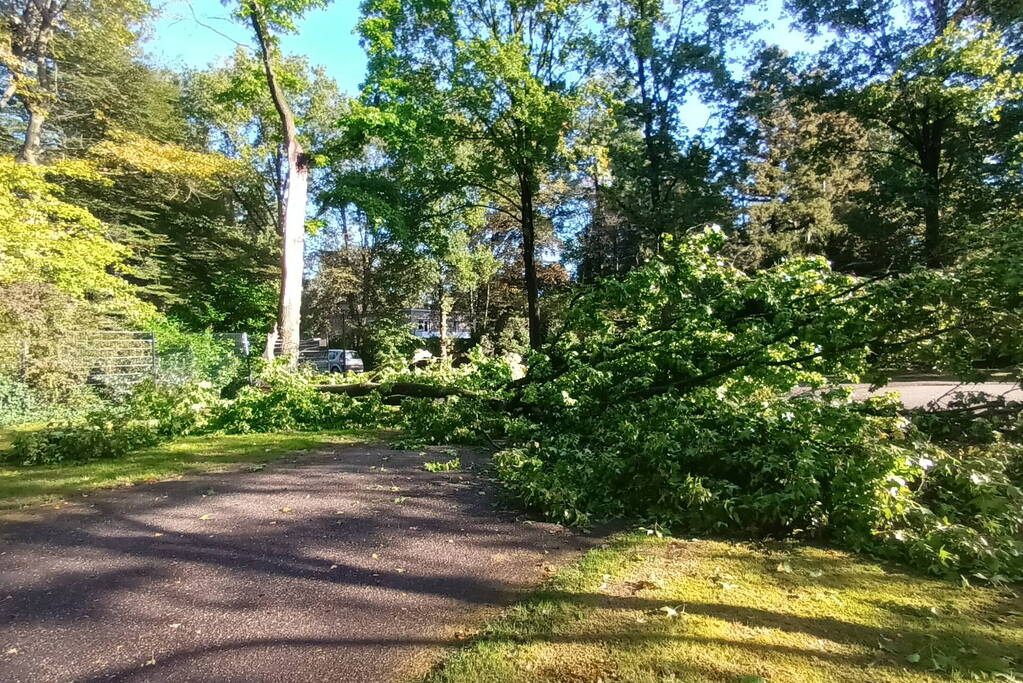 Brandweer ingezet voor afgebroken tak