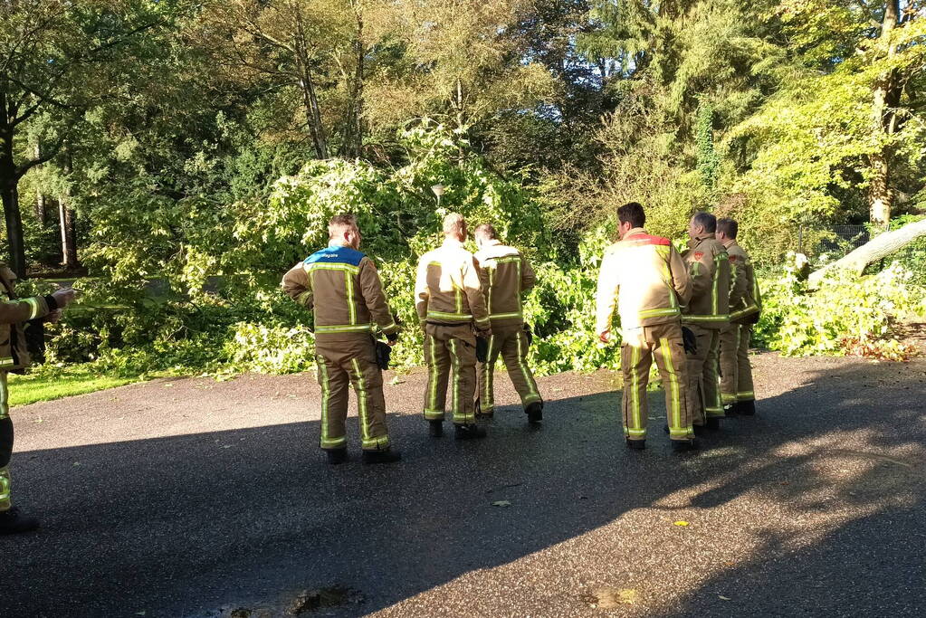 Brandweer ingezet voor afgebroken tak