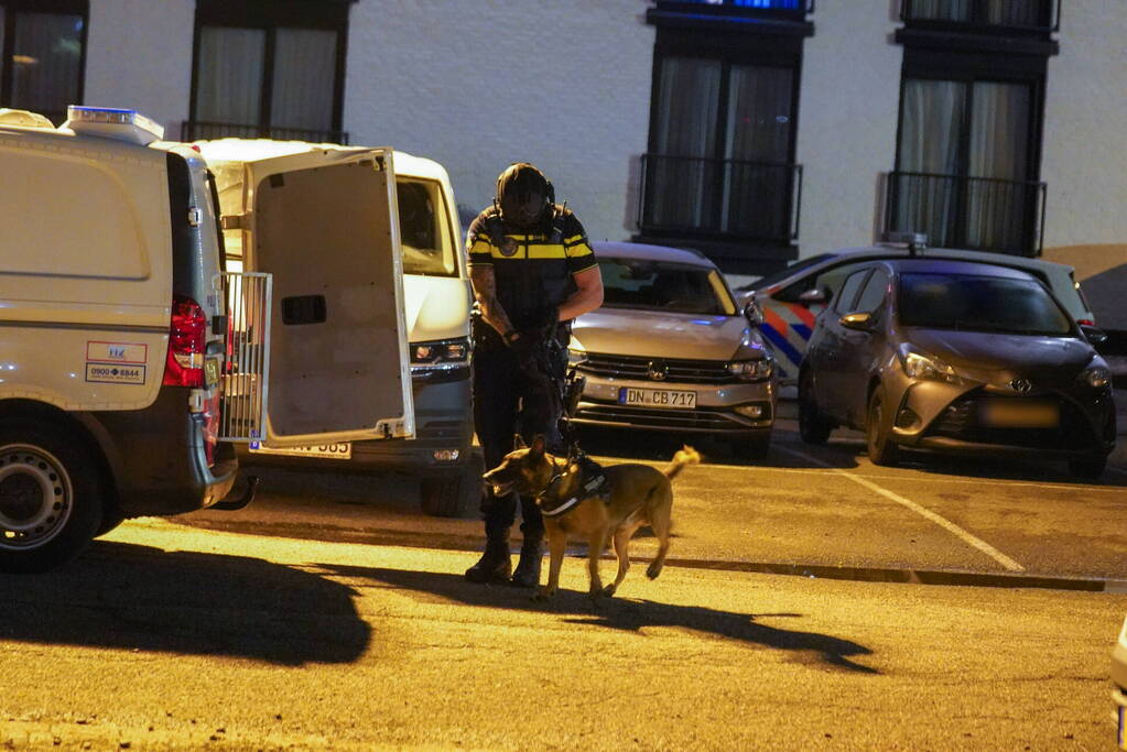 Grote politie-inzet bij massale vechtpartij