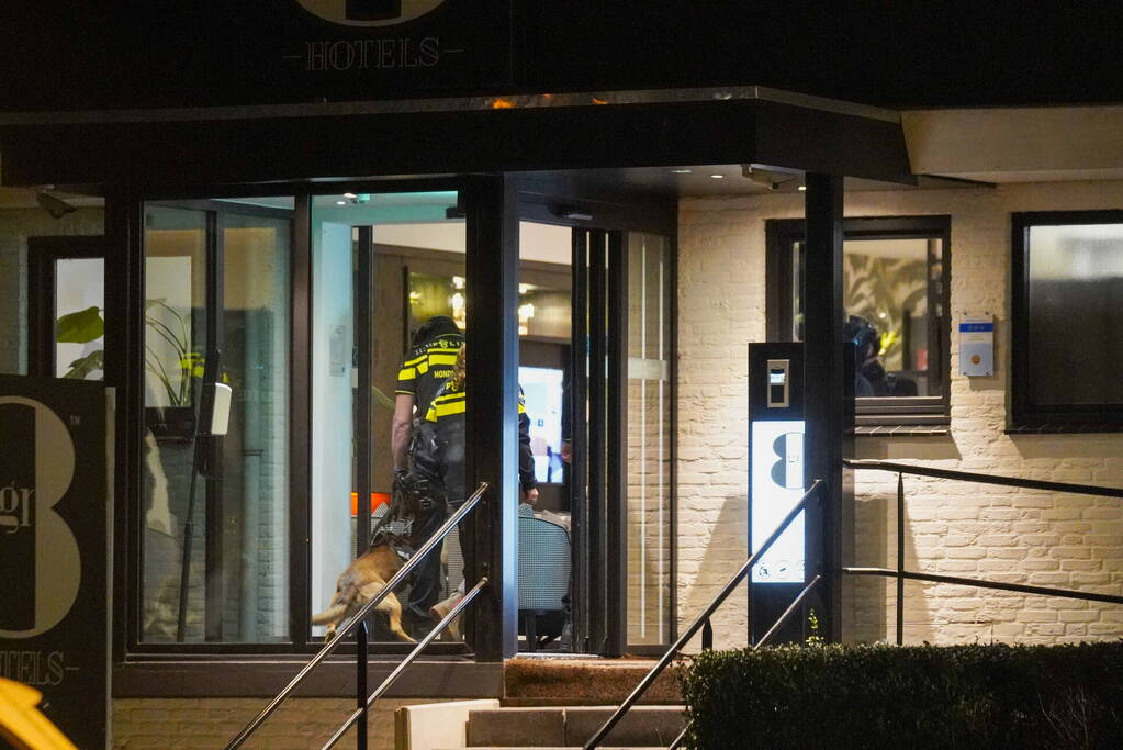 Grote politie-inzet bij massale vechtpartij