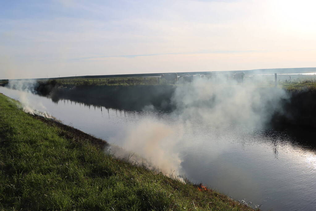 Gras in slootkant vat vlam