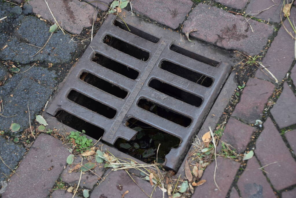 Kuiken vast in rioolput