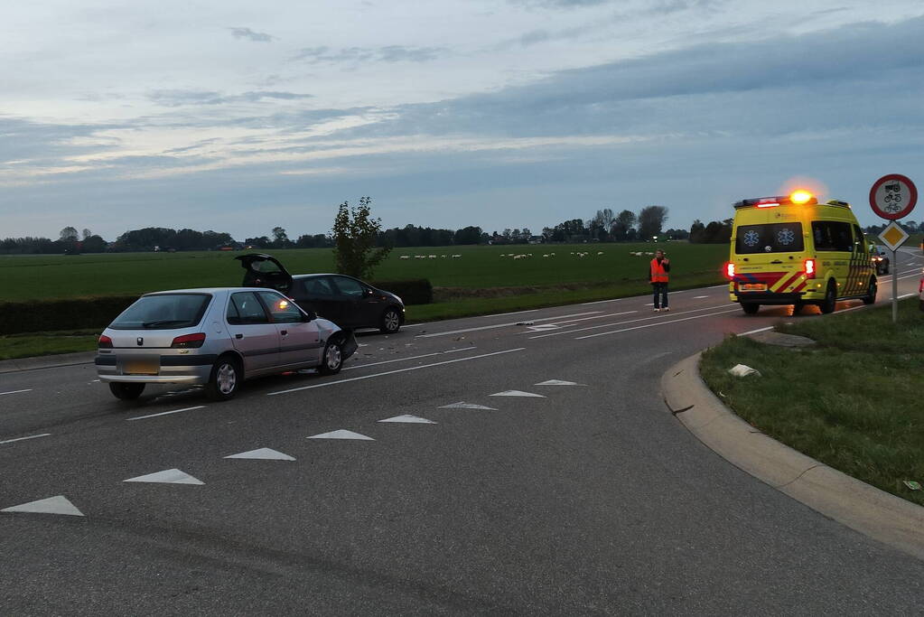 Persoon en hond gewond bij botsing op kruising