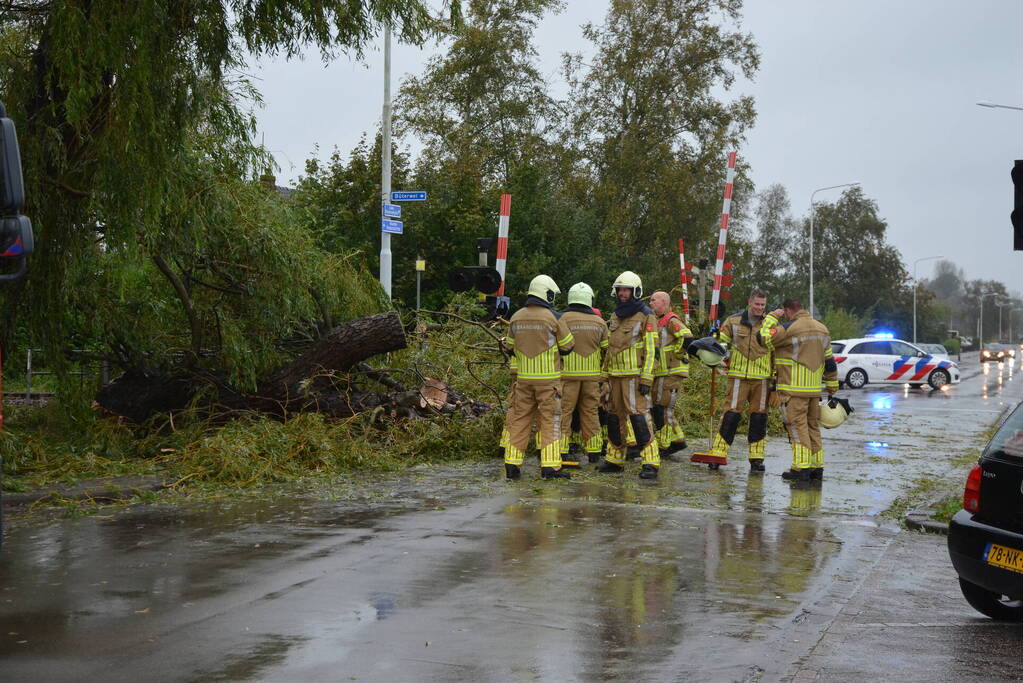 Fietser gewond na omvallen boom