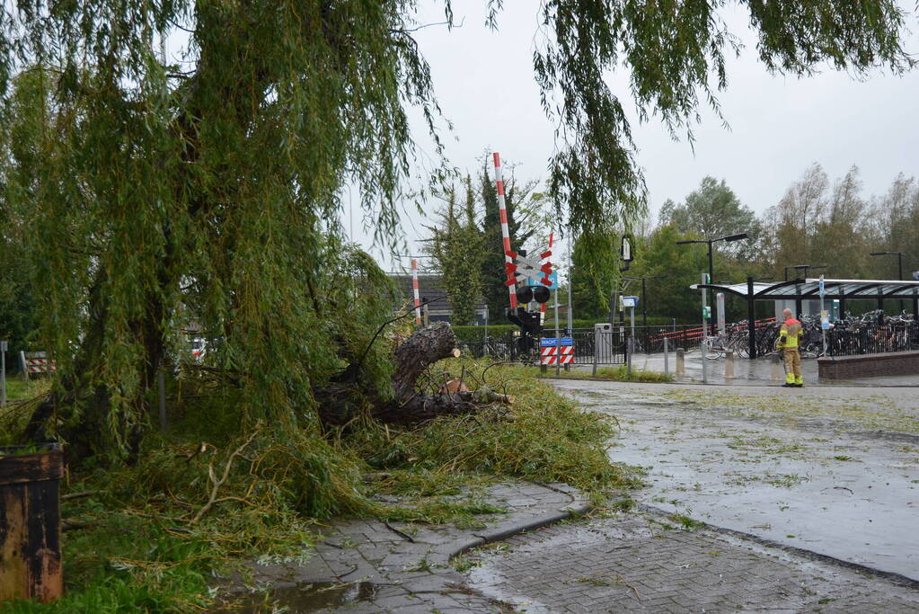 Fietser gewond na omvallen boom