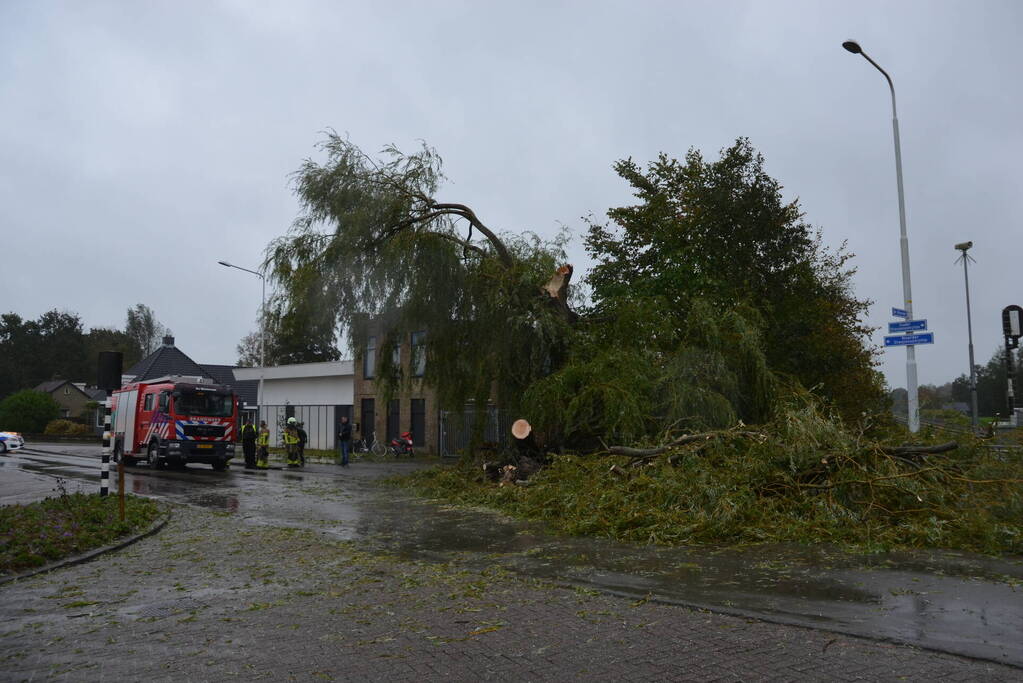 Fietser gewond na omvallen boom
