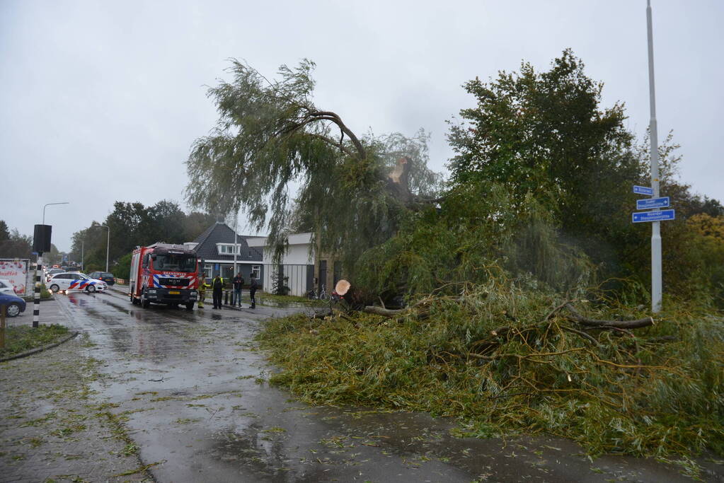 Fietser gewond na omvallen boom