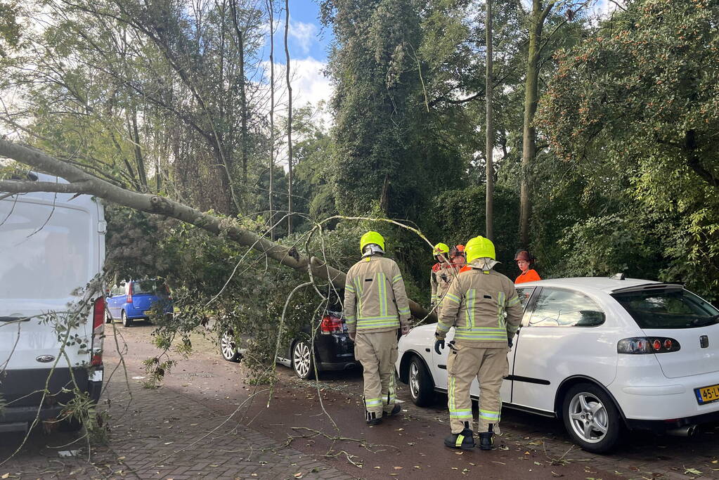 Auto beschadigd door omgevallen boom